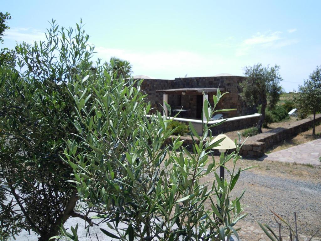Residenza Degli Ulivi Pantelleria Island Exterior foto
