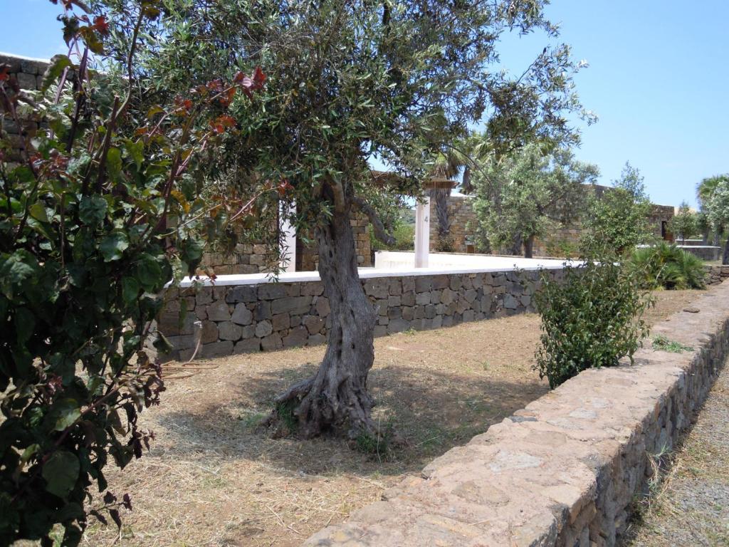 Residenza Degli Ulivi Pantelleria Island Exterior foto