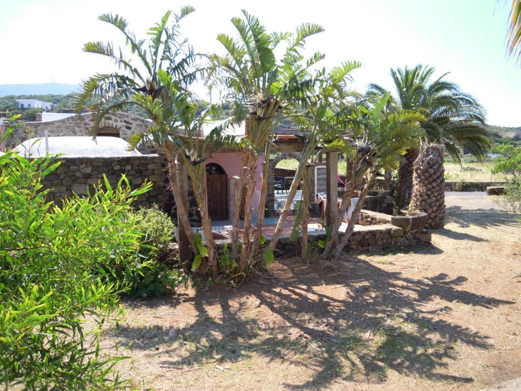 Residenza Degli Ulivi Pantelleria Island Cameră foto