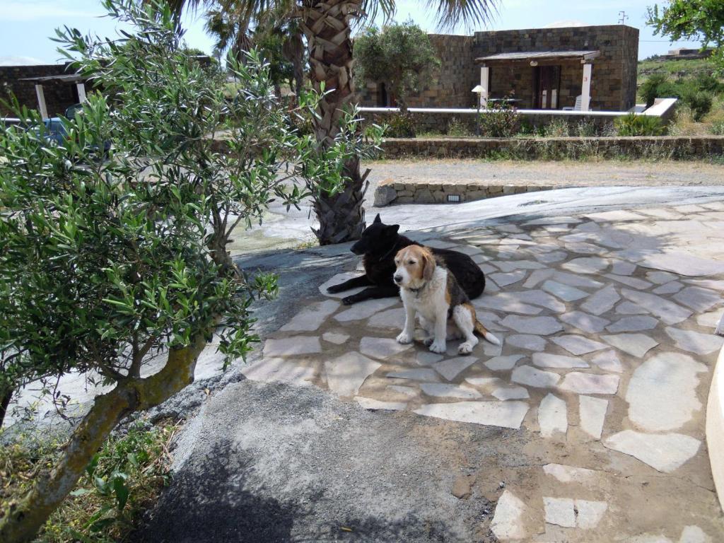 Residenza Degli Ulivi Pantelleria Island Cameră foto